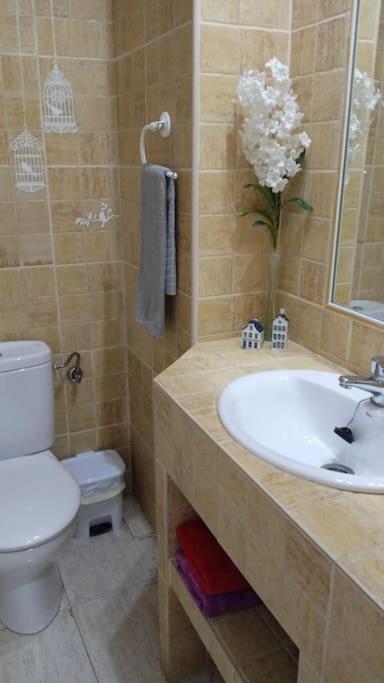 Bonito Apartamento Jv36 Cordoba Exterior photo